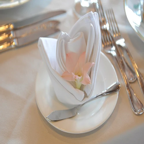 Pack of 10 Napkins
