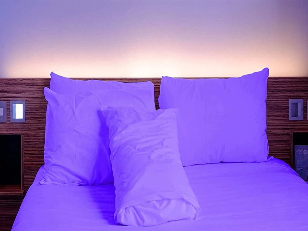 [6638567358534] Extra Deep 16" Percale Fitted Sheets Single Double King (King, Purple)