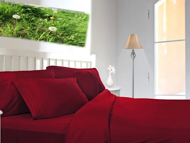 [6638497923142] Extra Deep 16" Percale Fitted Sheets Single Double King (Single, Red)