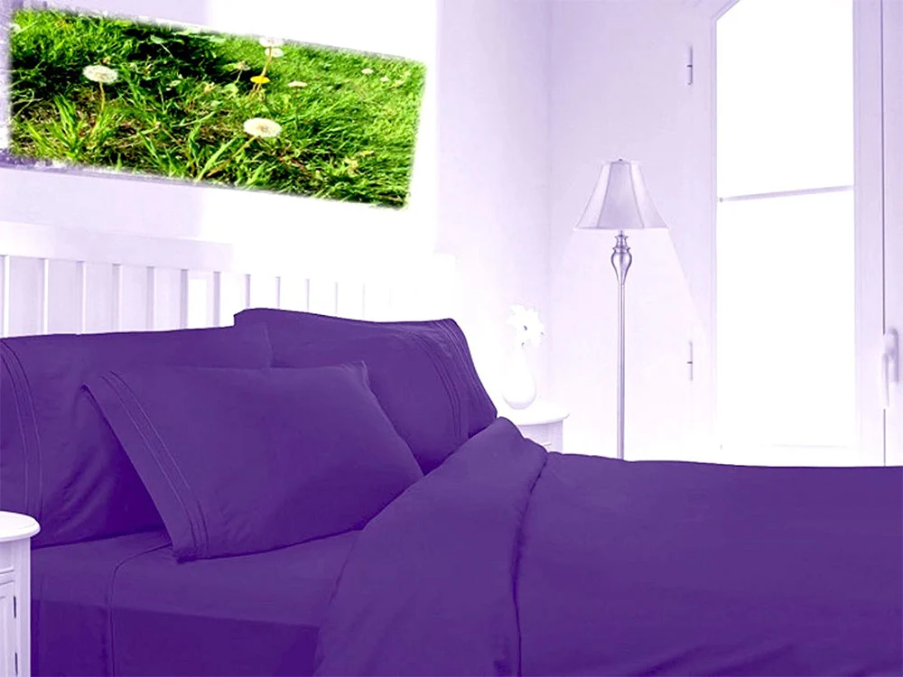 [6638485733446] Extra Deep 16" Percale Fitted Sheets Single Double King (Single, Purple)